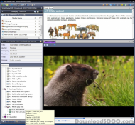 Vole Media CHM screenshot